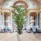 8-Foot Kentia Palm Tree in Black Pot with 399 Silk Leaves - Lifelike Indoor/Outdoor Foliage for Home & Office Décor - Tropical Elegance, Floral Home by Artificial Flowers